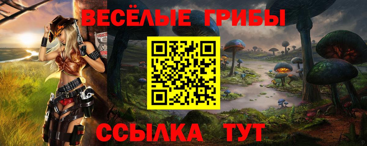 Галлюциногенные грибы MAGIC MUSHROOMS  Вход с VPN  Балабаново 