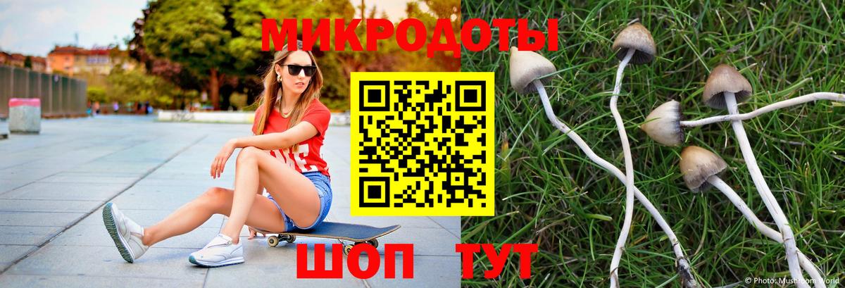Галлюциногенные грибы Magic Shrooms Балабаново