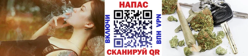 Канабис ГИДРОПОН  Балабаново 